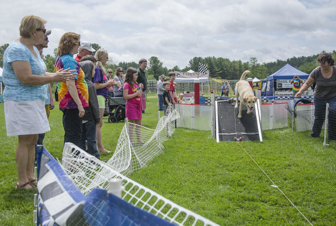062215-nws-woofstock15.jpg